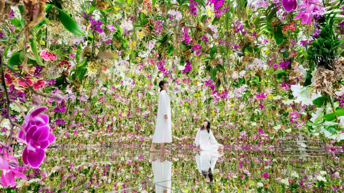 Visitors wading barefoot through the illuminated koi water artwork at teamLab Planets, the digital art museum in Tokyo's Toyosu district